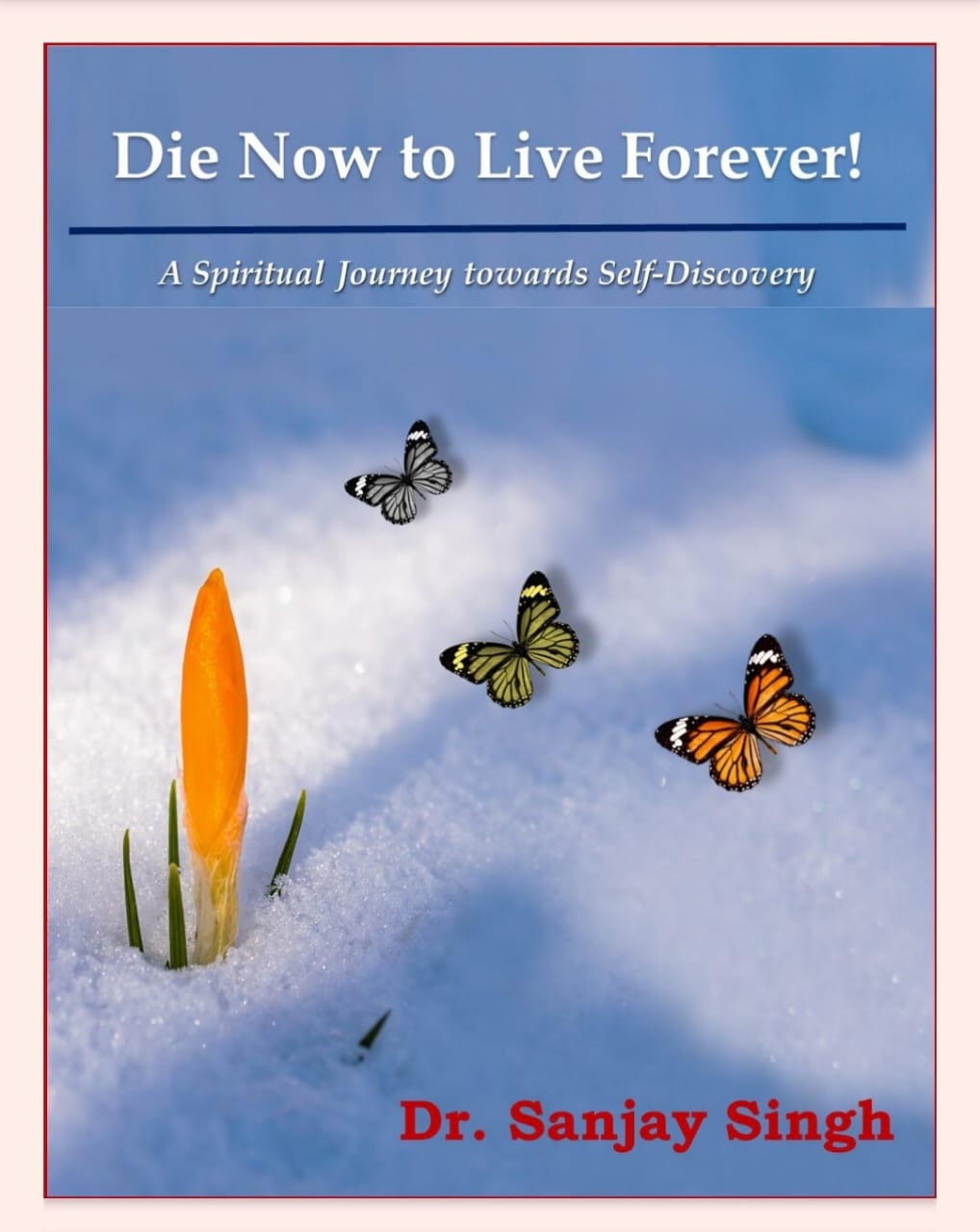 DIE NOW TO LIVE FOREVER BOOK 